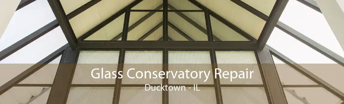 Glass Conservatory Repair Ducktown - IL