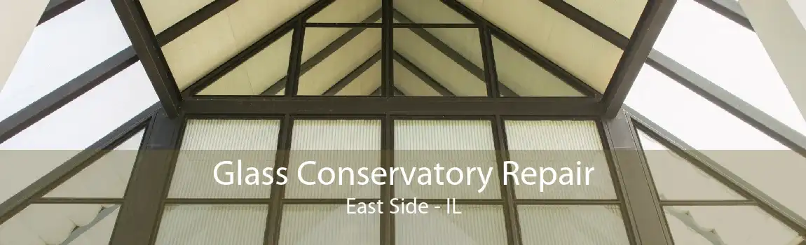 Glass Conservatory Repair East Side - IL