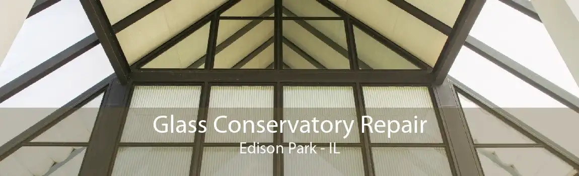 Glass Conservatory Repair Edison Park - IL