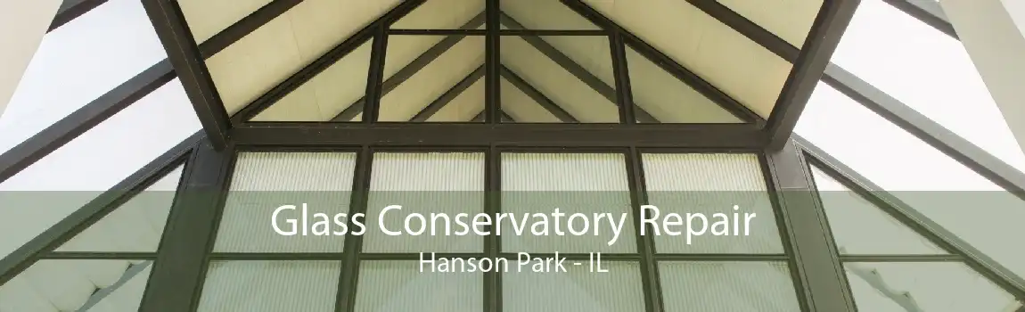 Glass Conservatory Repair Hanson Park - IL