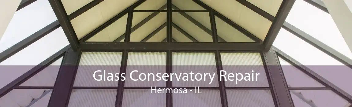 Glass Conservatory Repair Hermosa - IL