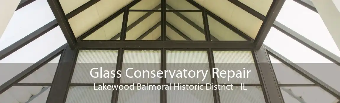 Glass Conservatory Repair Lakewood Balmoral Historic District - IL