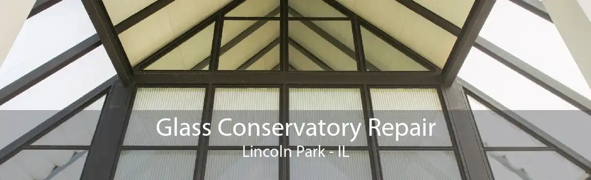 Glass Conservatory Repair Lincoln Park - IL