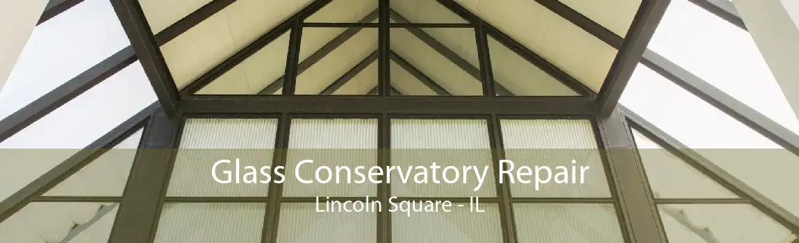 Glass Conservatory Repair Lincoln Square - IL