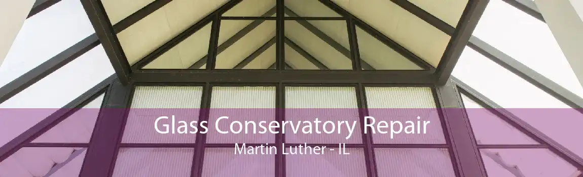 Glass Conservatory Repair Martin Luther - IL