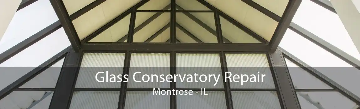 Glass Conservatory Repair Montrose - IL