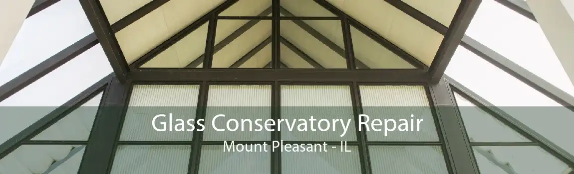 Glass Conservatory Repair Mount Pleasant - IL