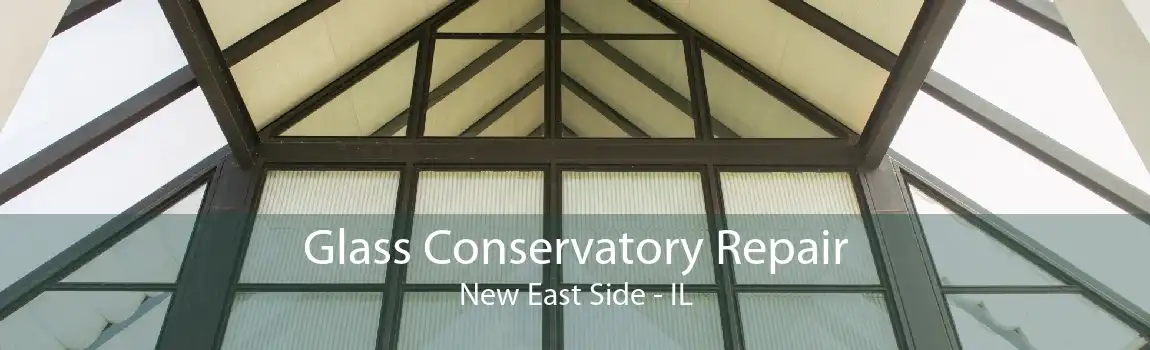 Glass Conservatory Repair New East Side - IL