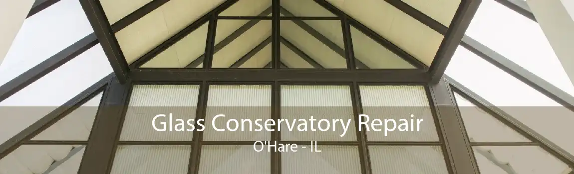 Glass Conservatory Repair O'Hare - IL