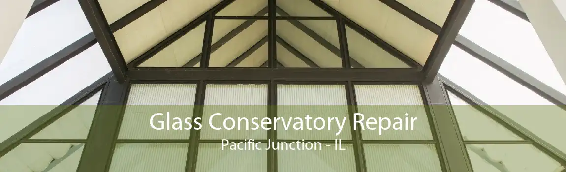 Glass Conservatory Repair Pacific Junction - IL