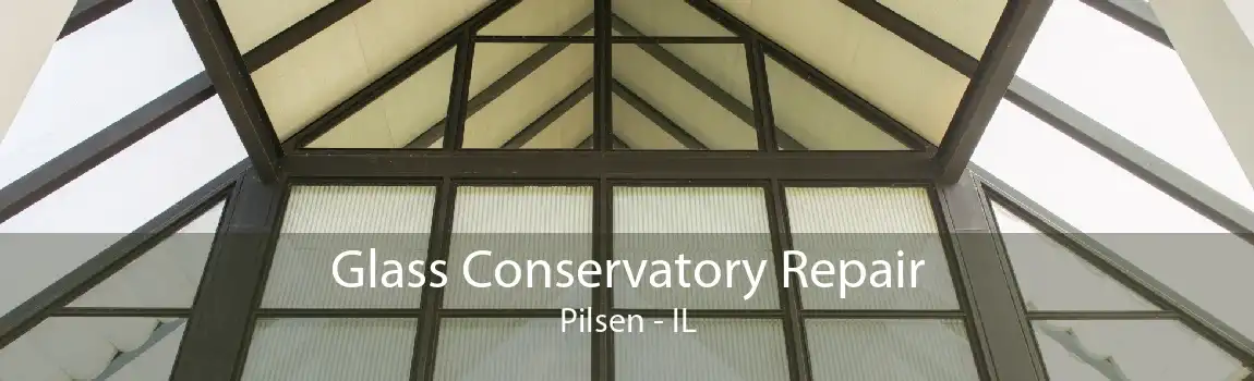 Glass Conservatory Repair Pilsen - IL