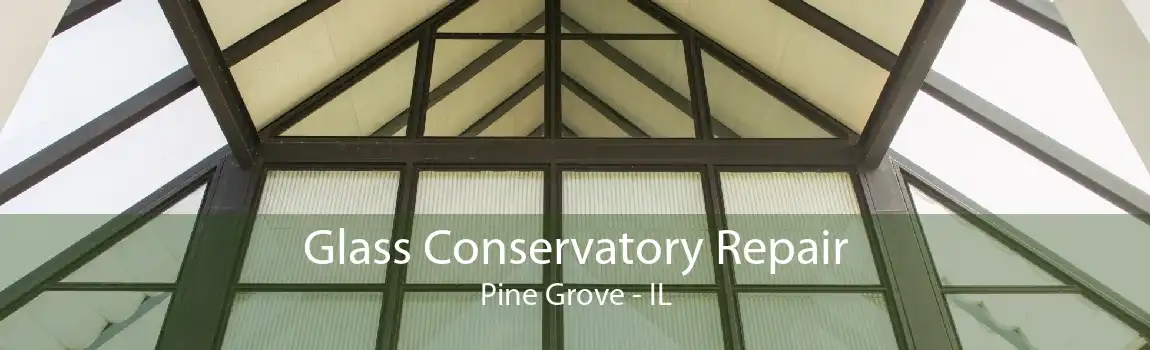 Glass Conservatory Repair Pine Grove - IL