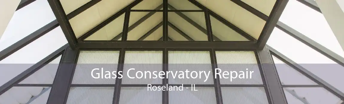 Glass Conservatory Repair Roseland - IL