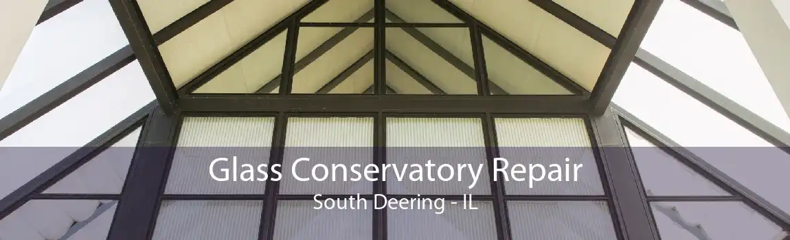 Glass Conservatory Repair South Deering - IL