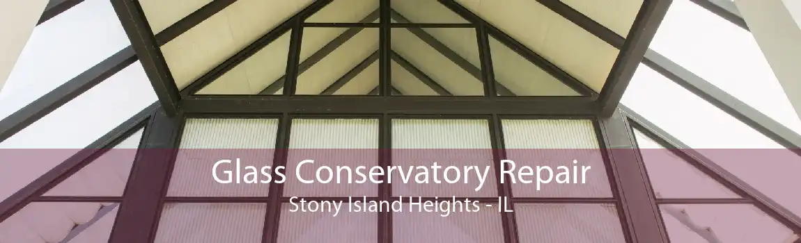 Glass Conservatory Repair Stony Island Heights - IL