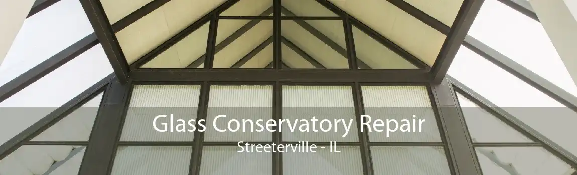 Glass Conservatory Repair Streeterville - IL