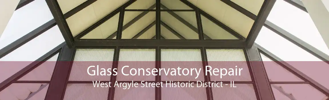 Glass Conservatory Repair West Argyle Street Historic District - IL