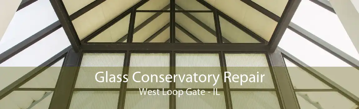 Glass Conservatory Repair West Loop Gate - IL