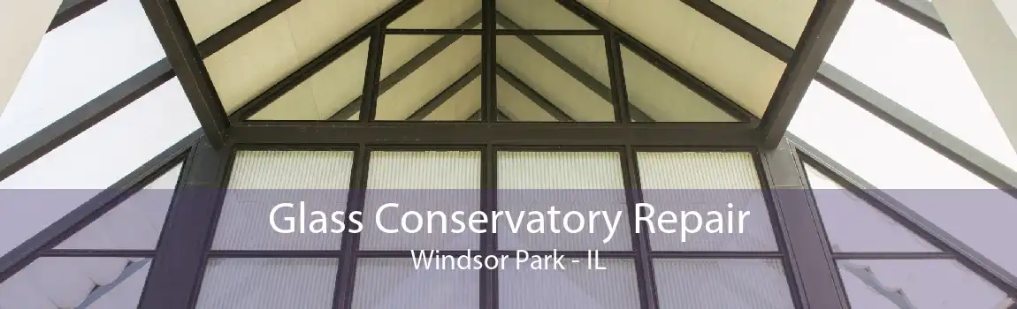 Glass Conservatory Repair Windsor Park - IL