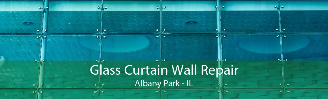 Glass Curtain Wall Repair Albany Park - IL