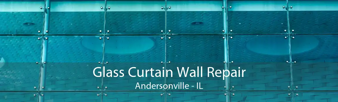 Glass Curtain Wall Repair Andersonville - IL