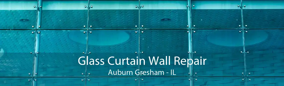 Glass Curtain Wall Repair Auburn Gresham - IL