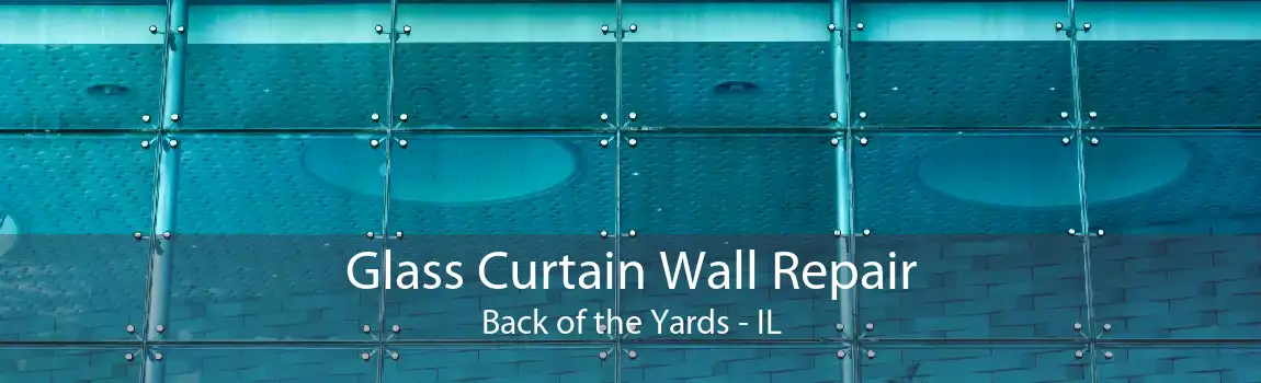 Glass Curtain Wall Repair Back of the Yards - IL