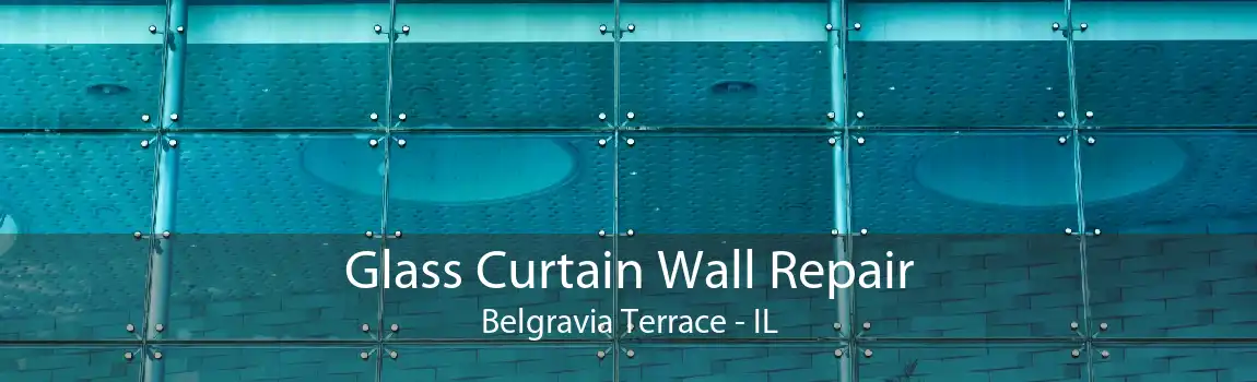 Glass Curtain Wall Repair Belgravia Terrace - IL