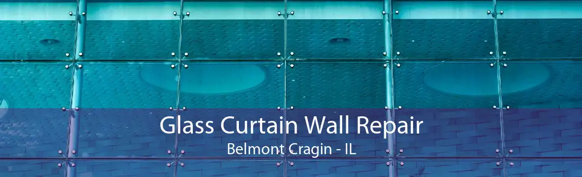 Glass Curtain Wall Repair Belmont Cragin - IL