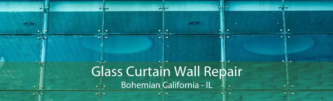 Glass Curtain Wall Repair Bohemian California - IL