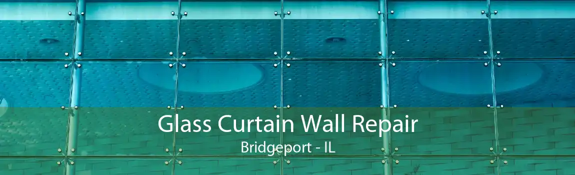 Glass Curtain Wall Repair Bridgeport - IL