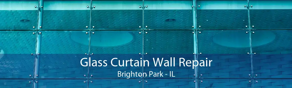 Glass Curtain Wall Repair Brighton Park - IL