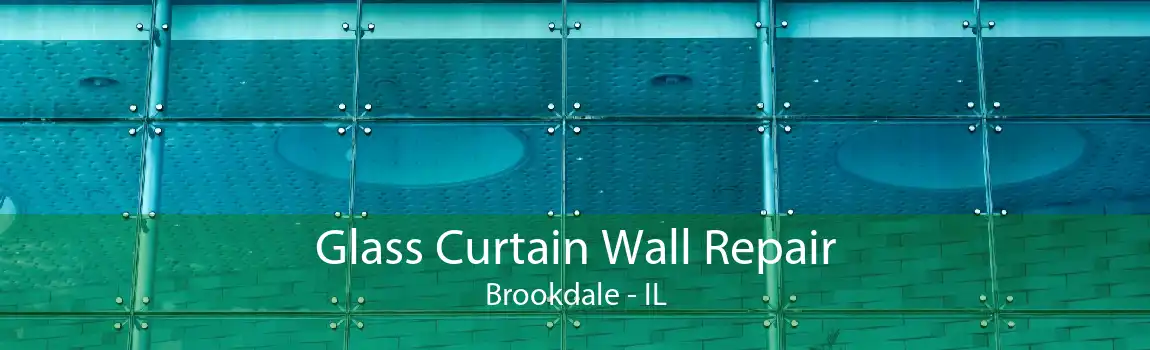 Glass Curtain Wall Repair Brookdale - IL