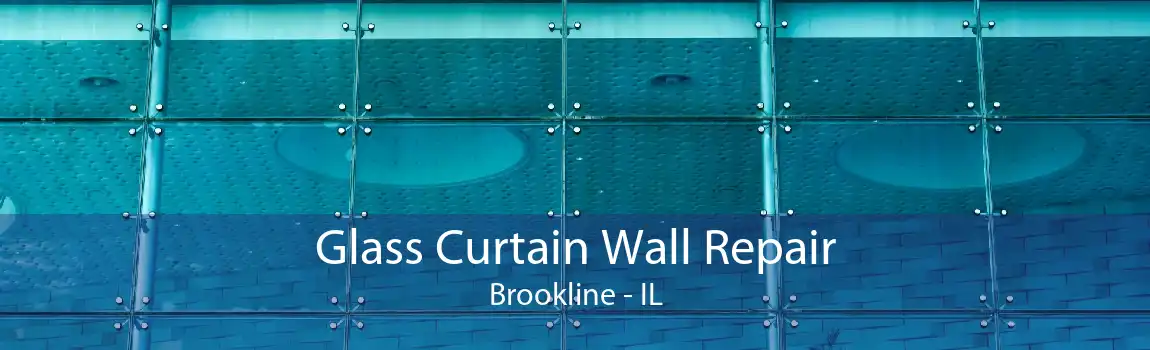 Glass Curtain Wall Repair Brookline - IL