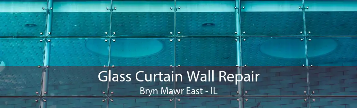 Glass Curtain Wall Repair Bryn Mawr East - IL