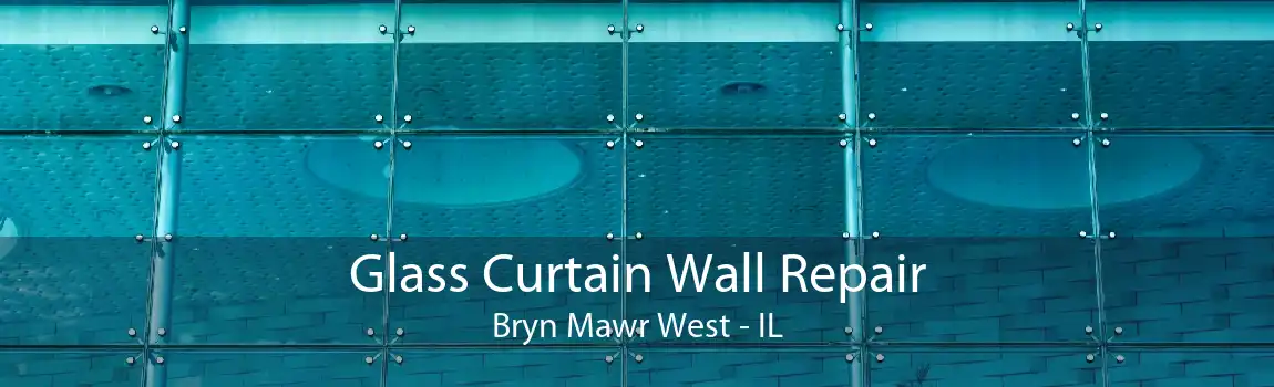 Glass Curtain Wall Repair Bryn Mawr West - IL