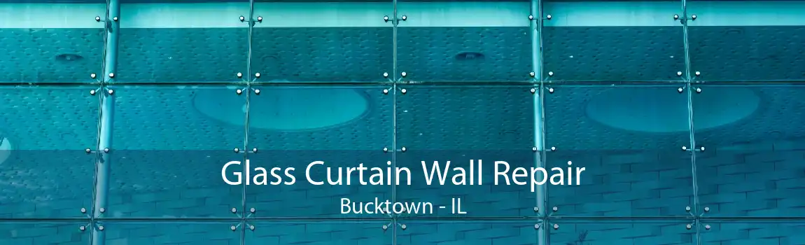 Glass Curtain Wall Repair Bucktown - IL