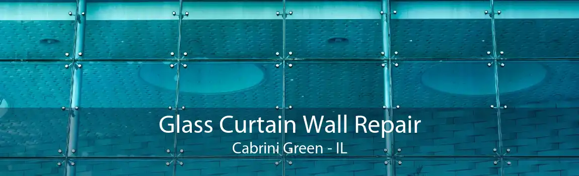 Glass Curtain Wall Repair Cabrini Green - IL