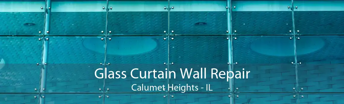 Glass Curtain Wall Repair Calumet Heights - IL