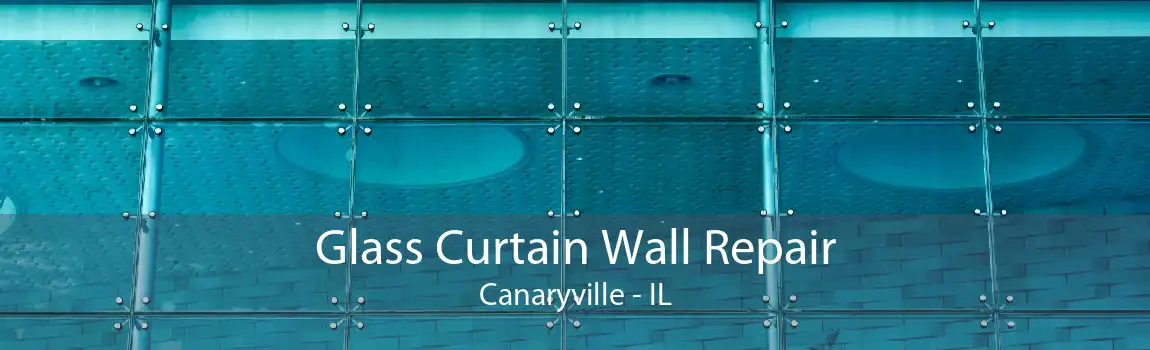 Glass Curtain Wall Repair Canaryville - IL