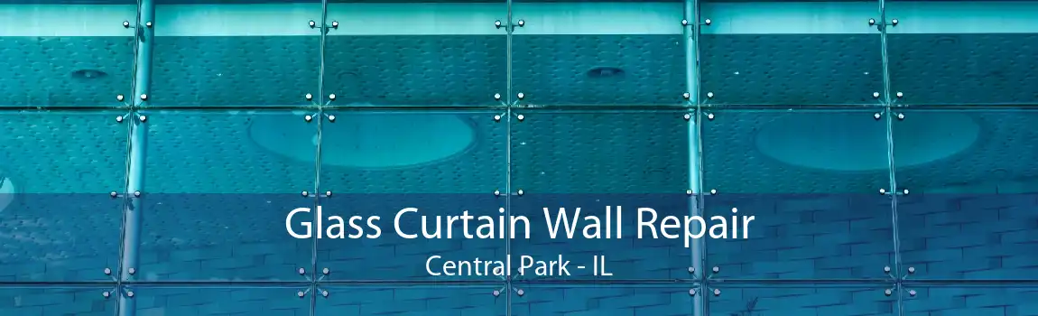 Glass Curtain Wall Repair Central Park - IL