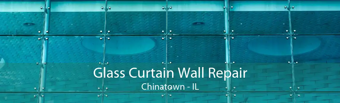 Glass Curtain Wall Repair Chinatown - IL