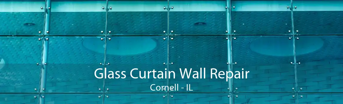 Glass Curtain Wall Repair Cornell - IL