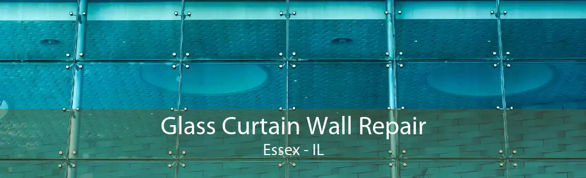 Glass Curtain Wall Repair Essex - IL