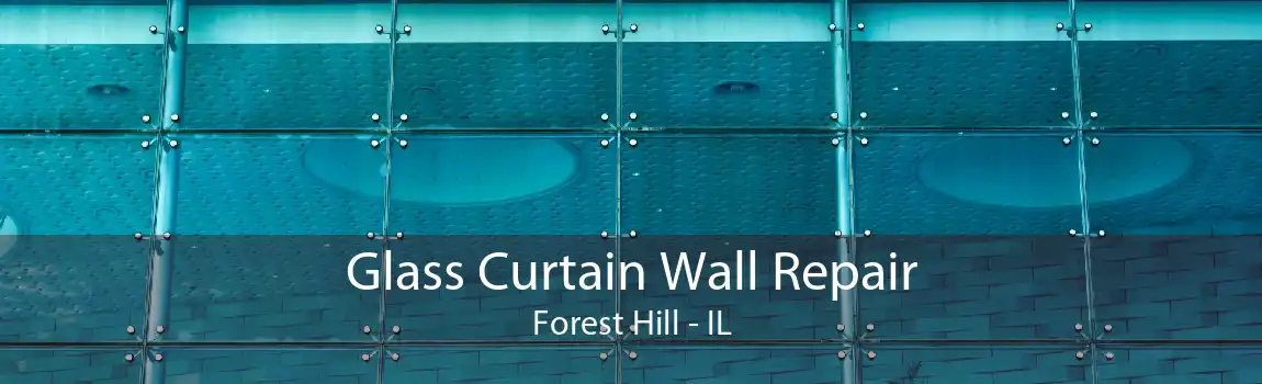 Glass Curtain Wall Repair Forest Hill - IL