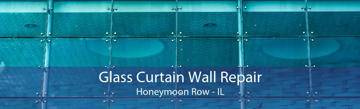 Glass Curtain Wall Repair Honeymoon Row - IL