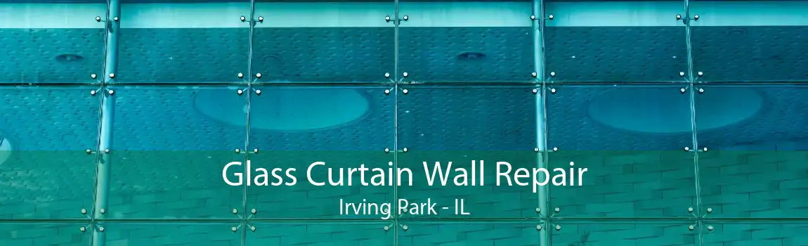 Glass Curtain Wall Repair Irving Park - IL