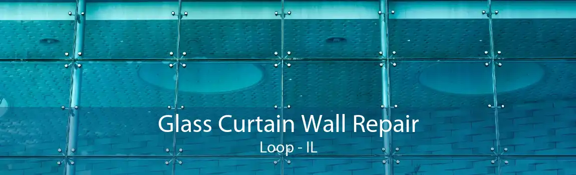 Glass Curtain Wall Repair Loop - IL