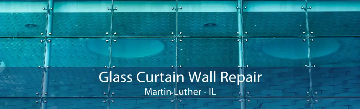 Glass Curtain Wall Repair Martin Luther - IL