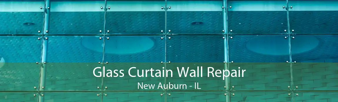 Glass Curtain Wall Repair New Auburn - IL